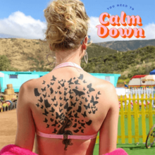 Taylor Swift -  You Need To Calm Down