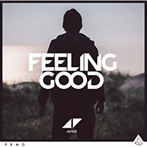 Avicii - Feeling Good