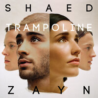 Shaed feat ZAYN - Trampoline
