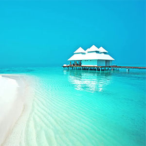 Tom Ferry & Clear Six feat. Hayley May - Nobody But You