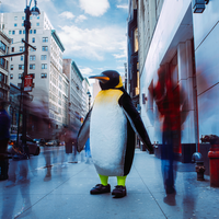 Rocket Pengwin - Unique