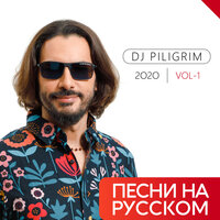 DJ Piligrim - Ты меня забудь