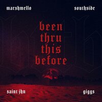 Marshmello & Southside feat. Giggs & SAINt JHN - Been Thru This Before