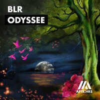 BLR - Meduse