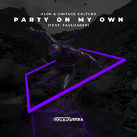 Alok & Vintage Culture feat. FAULHABER - Party On My Own