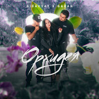 Gidayyat feat. Gazan - Орхидея