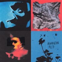 макулатура - последний год на земле