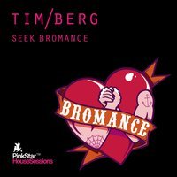 Tim Berg feat. Avicii - Seek Bromance (Avicii Vocal Edit)