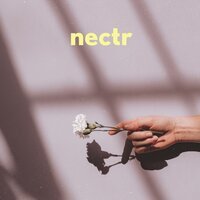 Nectr - Someone