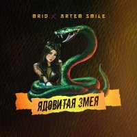 MriD & Artem Smile - Ядовитая змея