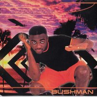 Bushman - No 1 Else (X 10 Ded Mix)