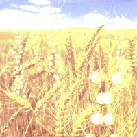 Télépopmusik feat. Angela McCluskey - Breathe