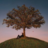 slowthai & Skepta - CANCELLED