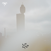 Dan Bay - Schwarzer Tee