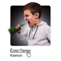 Ksenon - Ёлки-палки