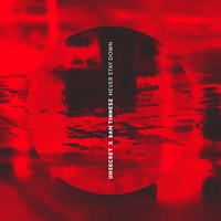UNSECRET feat. Sam Tinnesz - Never Stay Down