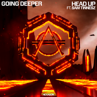 Going Deeper feat. Sam Tinnesz - Head Up