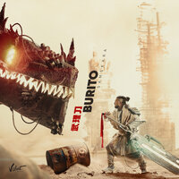 Burito - Лотосы