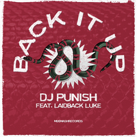 Dj Punish & Laidback Luke - Back It Up