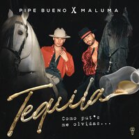 Pipe Bueno feat. Maluma - Tequila