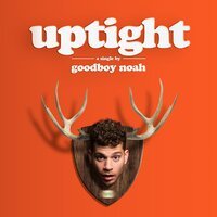 goodboy noah - uptight