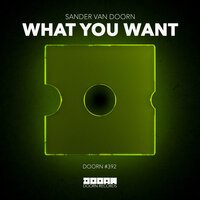 Sander Van Doorn - What You Want