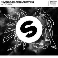 Vintage Culture feat. Fancy Inc - In The Dark