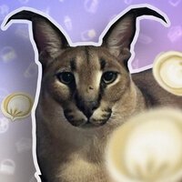 DailyRay - Хорошие пельмени это очень вкусно