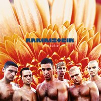 Rammstein - Seemann