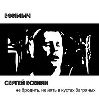 Ефимыч - Не бродить, не мять в кустах багряных