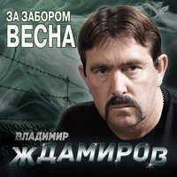 Владимир Ждамиров - Небеса пацанам