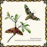 Dominik Eulberg - Abendpfauenauge