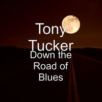 Tony Tucker - The Old Dead Woodpecker Hole Tree