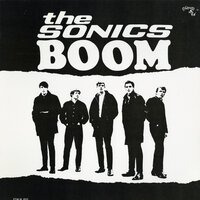 The Sonics - Shot Down