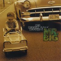 Mr. Big - Wild World