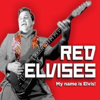 Red Elvises - Boogie on the Beach