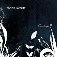 Fabrizio Paterlini - Primi passi