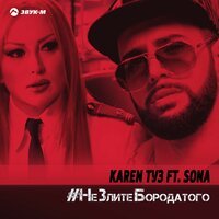 Karen Туз feat. ARTUSH & Sona - Не злите бородатого (DJ Artush Remix)