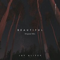 Jay Aliyev - Beautiful