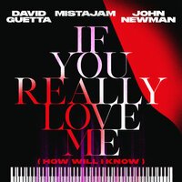 David Guetta feat. John Newman & MistaJam - If You Really Love Me (How Will I Know)
