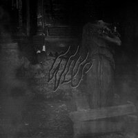 Wlvs - В клочья