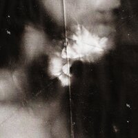 Holding Absence - Wilt