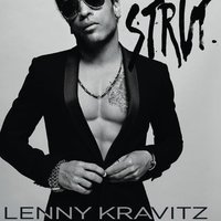 Lenny Kravitz - The Chamber