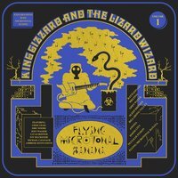 King Gizzard & The Lizard Wizard - Billabong Valley