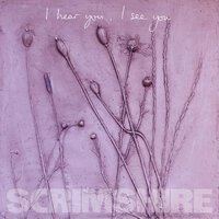 Scrimshire feat. Faye Houston & Nat Birchall - I Hear You, I See You