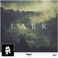 Direct - Lark (Original Mix)