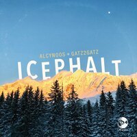 Alcynoos & Gatz2Gatz - Icephalt