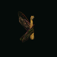 Maurice Louca - Bidayat (Holocene)