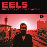Eels - That Look You Give That Guy