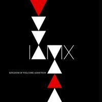 IAMX feat. Imogen Heap - My Secret Friend